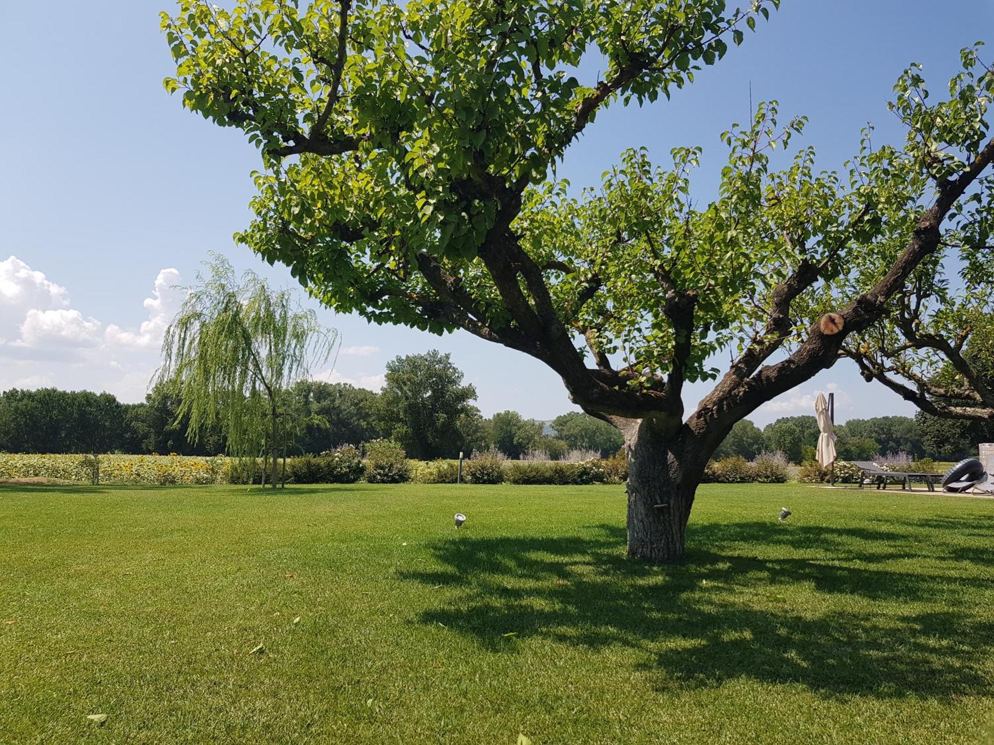 Agriturismo Villa Al Piano Todi Ngoại thất bức ảnh