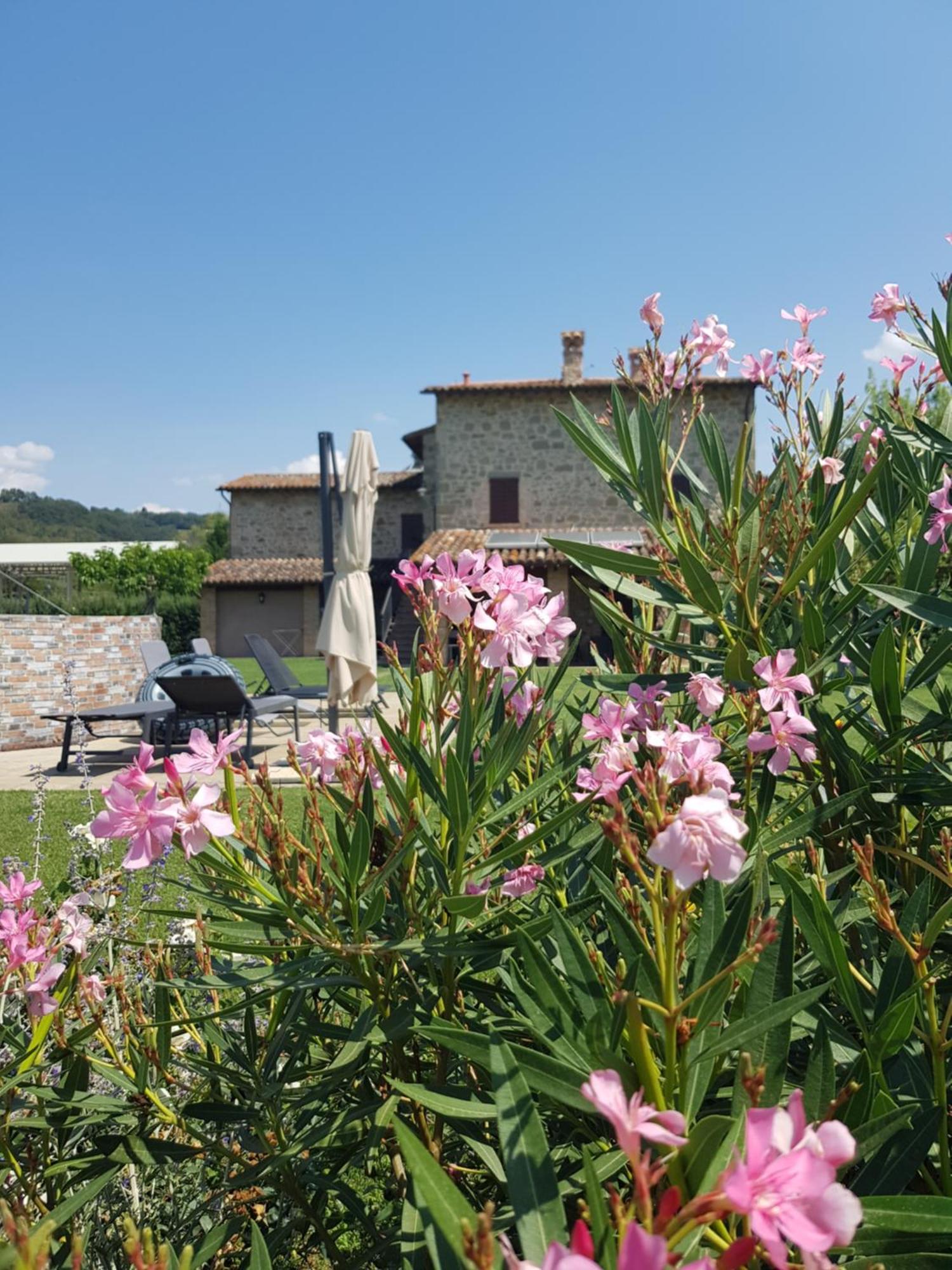 Agriturismo Villa Al Piano Todi Ngoại thất bức ảnh