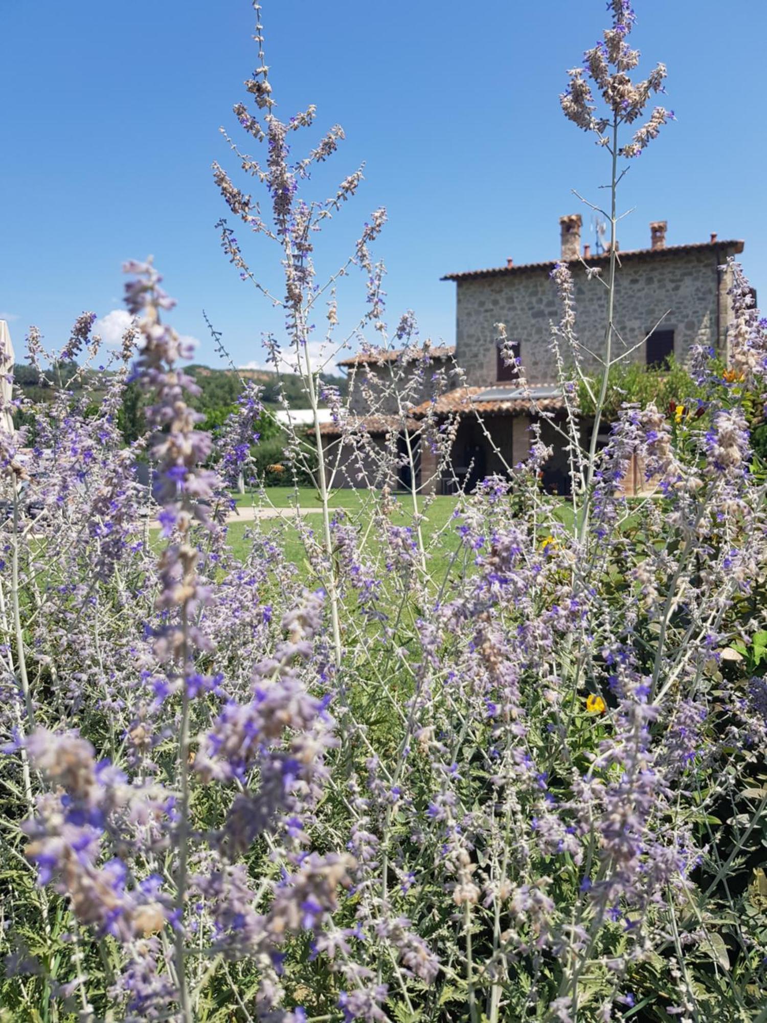Agriturismo Villa Al Piano Todi Ngoại thất bức ảnh